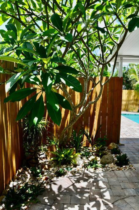 Tropical Retreat Near Beaches, Cruise Terminals Merritt Island Экстерьер фото